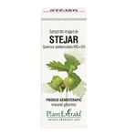 Eiken knop extract, 50 ml, Plant Extrakt