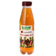Pine bud syrup, 500 ml, Plafar