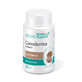 Ganoderma Extract, 30 capsules, Rotta Natura