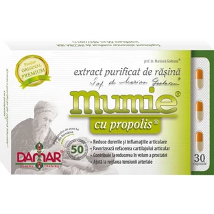 Extracto purificado de resina de Mumie con propóleos, 30 cápsulas, Damar General Trading
