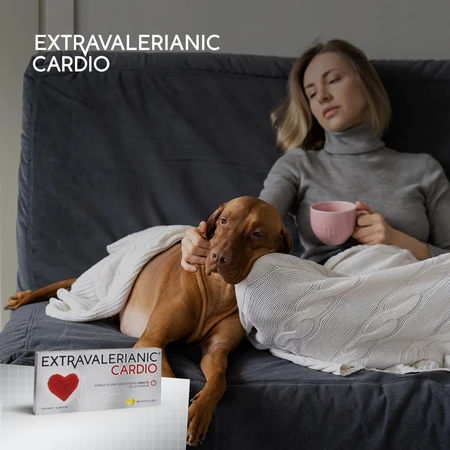 Extravalerianische Kardio, 30 Kapseln, Biofarm
