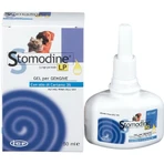 Orale antiseptische gel voor honden en katten Stomodine LP, 50 ml, ICF