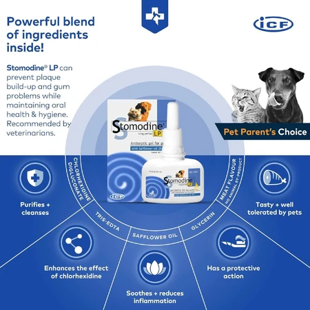 Orale antiseptische gel voor honden en katten Stomodine LP, 50 ml, ICF