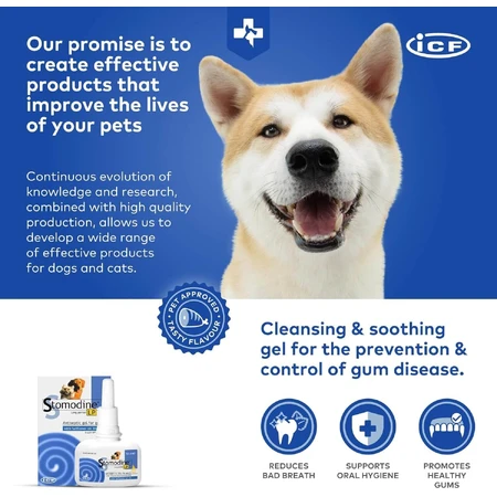 Orale antiseptische gel voor honden en katten Stomodine LP, 50 ml, ICF