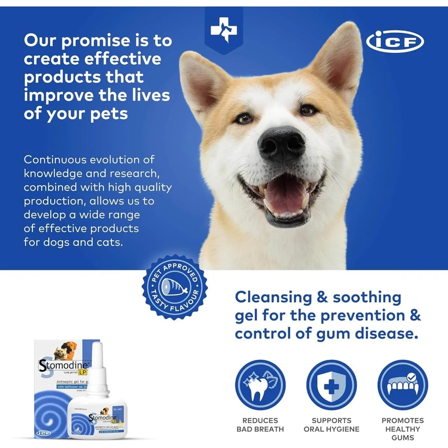 Orale antiseptische gel voor honden en katten Stomodine LP, 50 ml, ICF