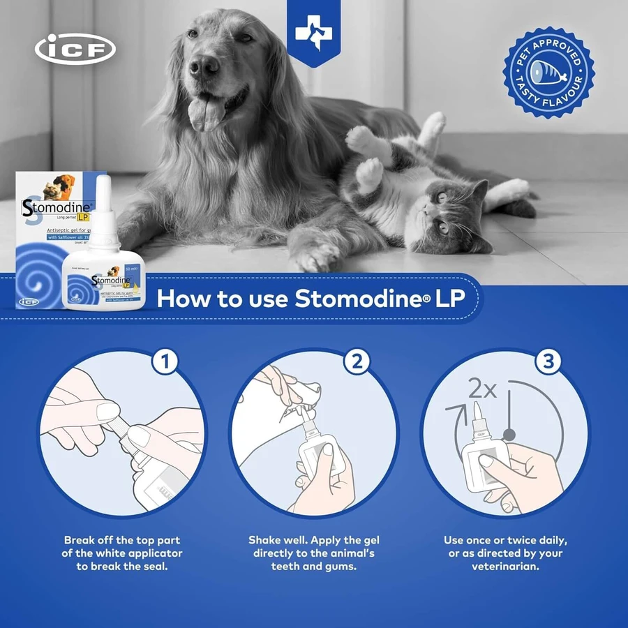 Orale antiseptische gel voor honden en katten Stomodine LP, 50 ml, ICF