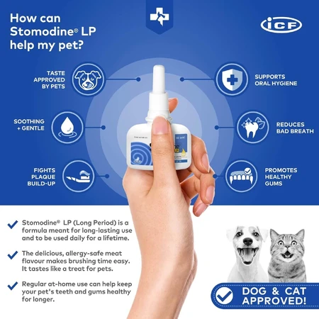 Orale antiseptische gel voor honden en katten Stomodine LP, 50 ml, ICF