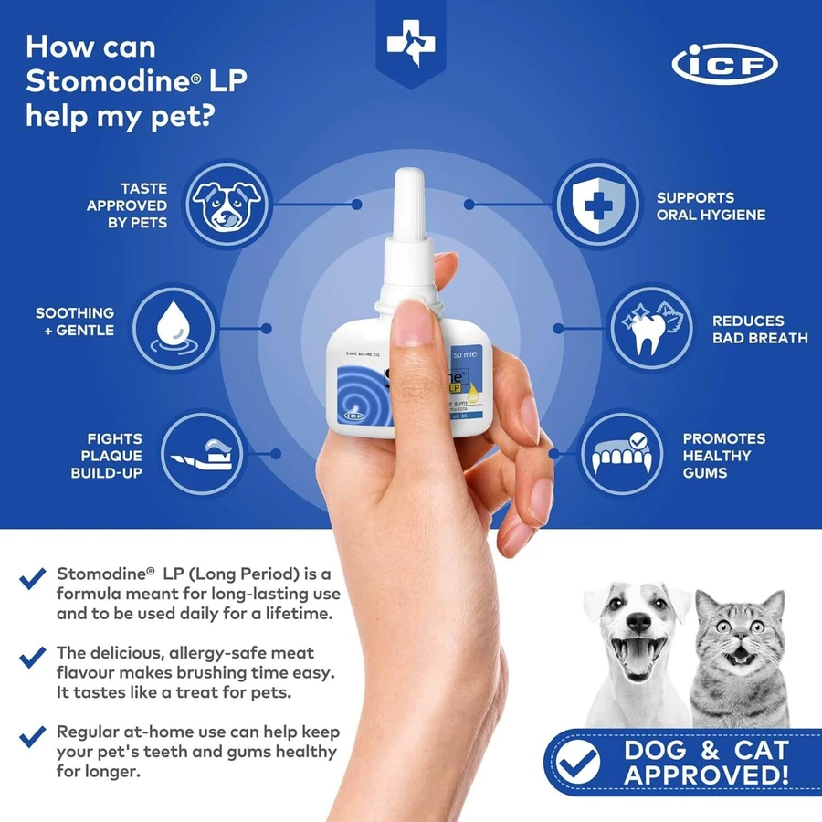 Orale antiseptische gel voor honden en katten Stomodine LP, 50 ml, ICF