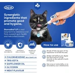 Orale antiseptische gel voor honden en katten Stomodine LP, 50 ml, ICF