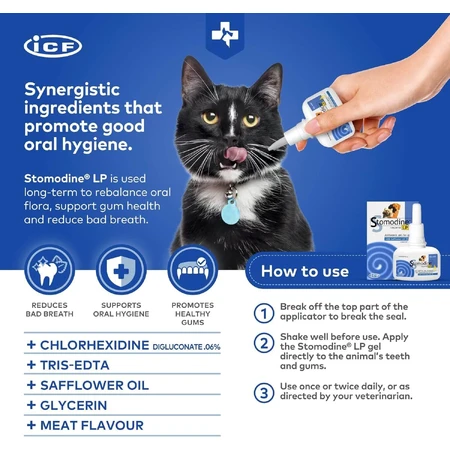 Orale antiseptische gel voor honden en katten Stomodine LP, 50 ml, ICF