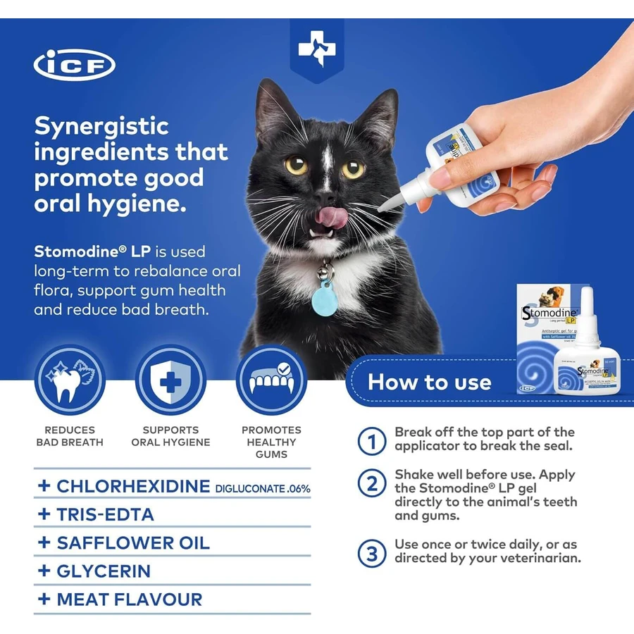 Orale antiseptische gel voor honden en katten Stomodine LP, 50 ml, ICF