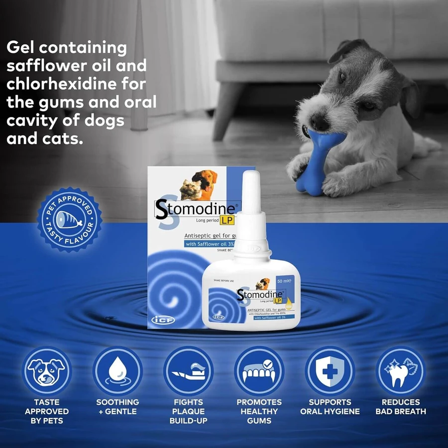 Orale antiseptische gel voor honden en katten Stomodine LP, 50 ml, ICF