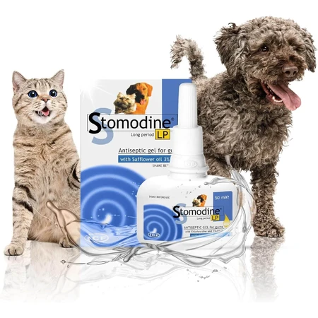 Orale antiseptische gel voor honden en katten Stomodine LP, 50 ml, ICF