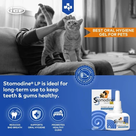 Orale antiseptische gel voor honden en katten Stomodine LP, 50 ml, ICF