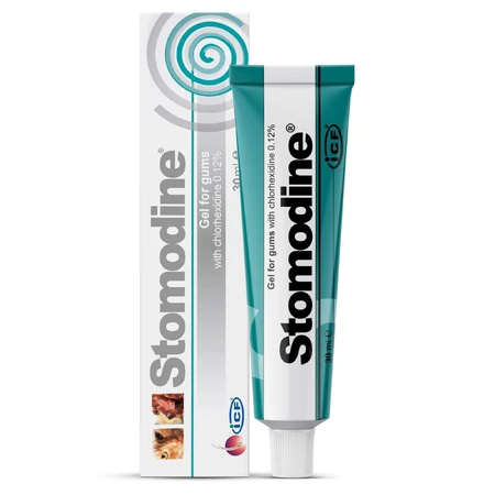 Stomodine antiseptic oral gel for dogs and cats, 30 ml, ICF