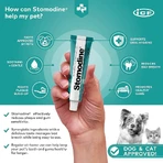 Stomodine antiseptic oral gel for dogs and cats, 30 ml, ICF