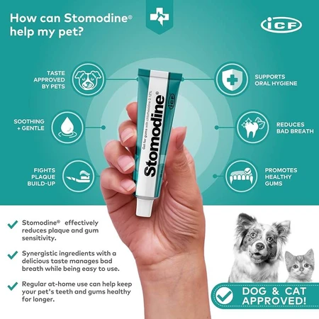 Stomodine antiseptic oral gel for dogs and cats, 30 ml, ICF