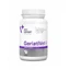 GeriatiVet Dog Large Breed 820 mg, 45 tablets, VetExpert