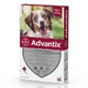Bayer Animal health
