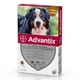 Bayer Animal health