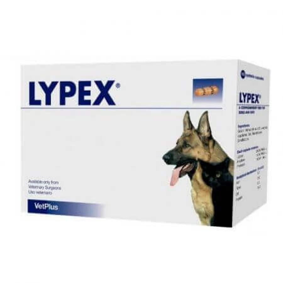 Lypex, 60 capsules, VetPlus
