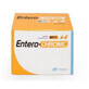 Supplement against intestinal disorders in dogs and cats Entero Chronic, 60 sachets, Bioiberica