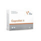 Supplement against intestinal tract disorders in dogs and cats CoproVet, 30 tablets, VetExpert