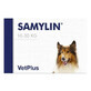Nutraceutical supplement for maintaining liver health in medium-sized dogs 10-30 kg Samylin Medium Breed, 30 tablets, VetPlus