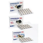 Synoquin EFA Large Breed, 30 comprimés, VetPlus