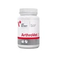 Arthrovet HA 60 comprimidos, Vetexpert