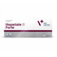 Supplement for strengthening liver functions in dogs and cats Hepatiale Forte, 40 tablets, VetExpert
