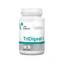 TriDigest, 40 capsules, VetExpert
