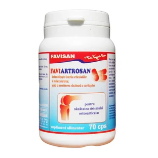 Faviartrosan, 70 cápsulas, Favisan