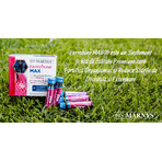 Ferrobine Max con Ferro, Zinco e Vitamine, 20 Fiale, Marnys Ferrobine Max con Ferro, Zinco e Vitamine, 20 Fiale, Marnys
