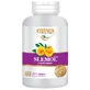 Slemol, 120 Tabletten, Ayurmed