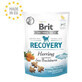 Snack for dogs Recovery Herring, 150 g, Brit