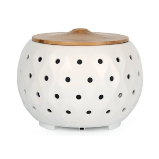 Diffusor für ätherische Öle für die Aromatherapie, Alecoair