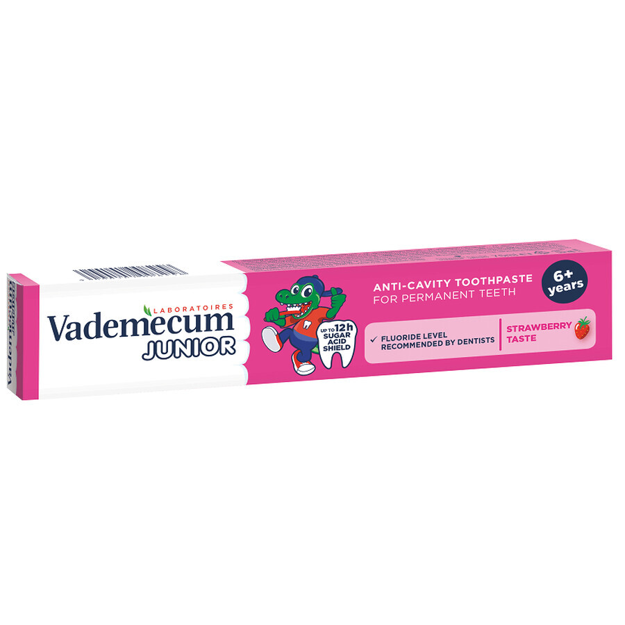 Dentifrice Junior à la fraise, 6 ans et +, 75 ml, Vademecum