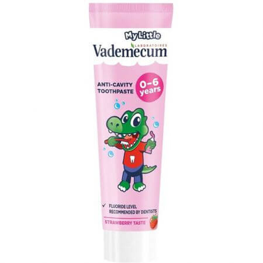 Winkel op Tandpasta met aardbeiensmaak voor kinderen, 0 - 6 jaar, 50 ml, Vademecum Tandpasta met aardbeiensmaak voor kinderen, 0 - 6 jaar, 50 ml, Vademecum