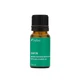 Ätherisches Öl Lorbeerblatt, 10ml, Sabio