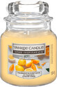 Yankee Candle Citrus Spice Scented Candle, 104 g