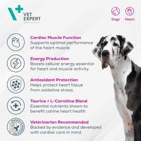 Cardiovet 770 mg, 90 tablets, VetExpert
