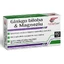 Ginkgo Biloba &amp; Magnesium, 40 capsules, FarmaClass