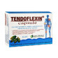 Tendoflexin, 30 capsules, Elixir
