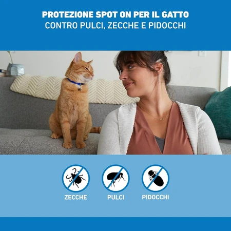 Frontline Spot On Katze, 3 Pipetten, Frontline