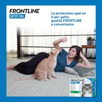 Frontline Spot On Katze, 3 Pipetten, Frontline