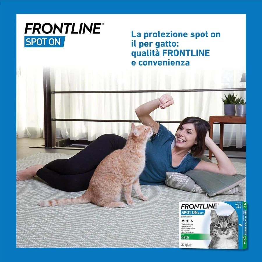 Frontline Spot On Katze, 3 Pipetten, Frontline