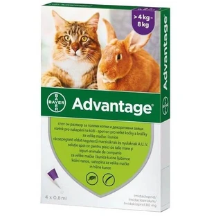 Solución antiparasitaria para aplicación cutánea en gatos y conejos de más de 4 kg Advantage 80 Gato / Conejo, 4 pipetas, Bayer Vet OTC