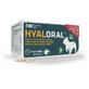 Nahrungserg&#228;nzungsmittel f&#252;r kleine und mittelgro&#223;e Hunde Hyaloral, 90 Tabletten, Pharmadiet