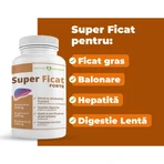 Super Liver Forte, 30 capsules, Healthy Dose